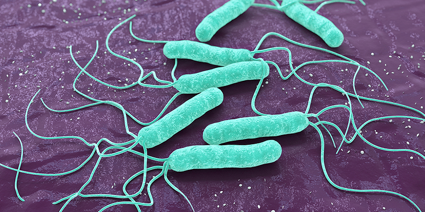 Studiu: Rezistența bacteriei Helicobacter pylori la antibiotice