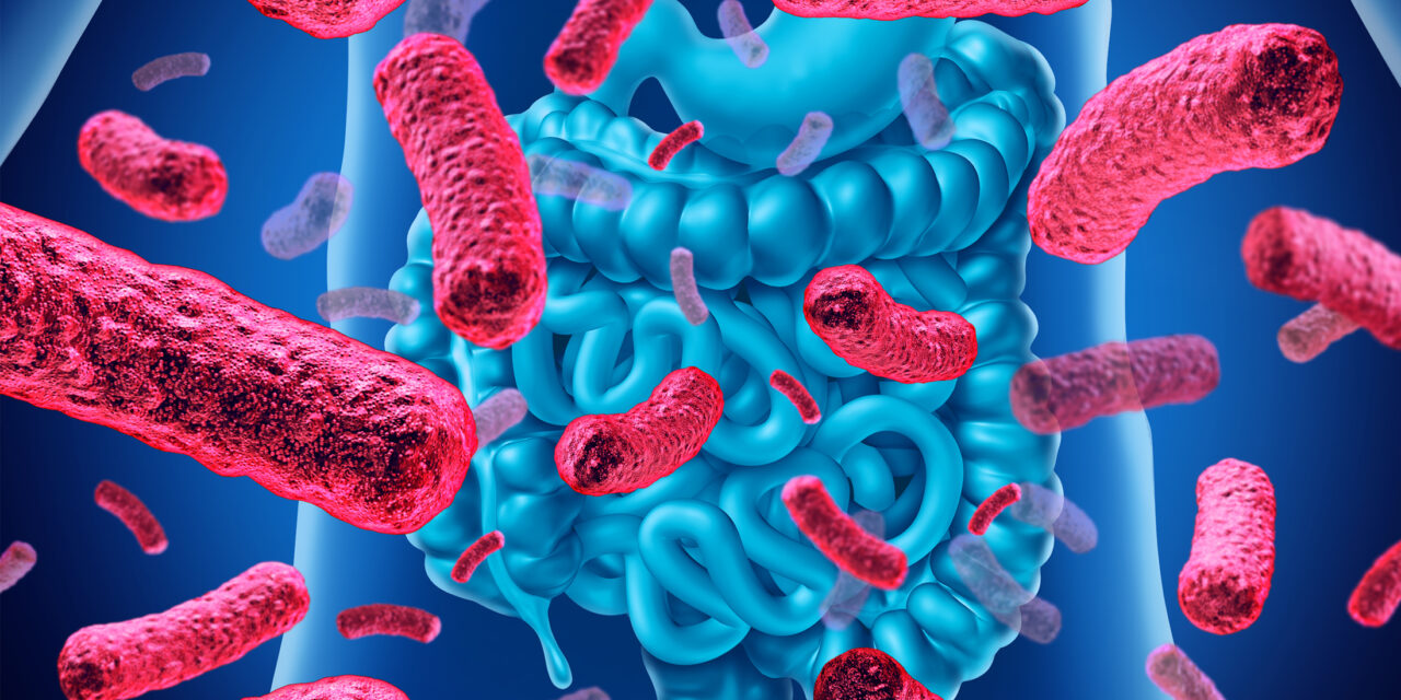 Bacteriile probiotice intestinale pot stimula creșterea cancerului pancreatic