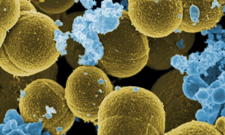 Cercetătorii au descoperit o nouă modalitate de a vindeca infecțiile cu bacterii rezistente