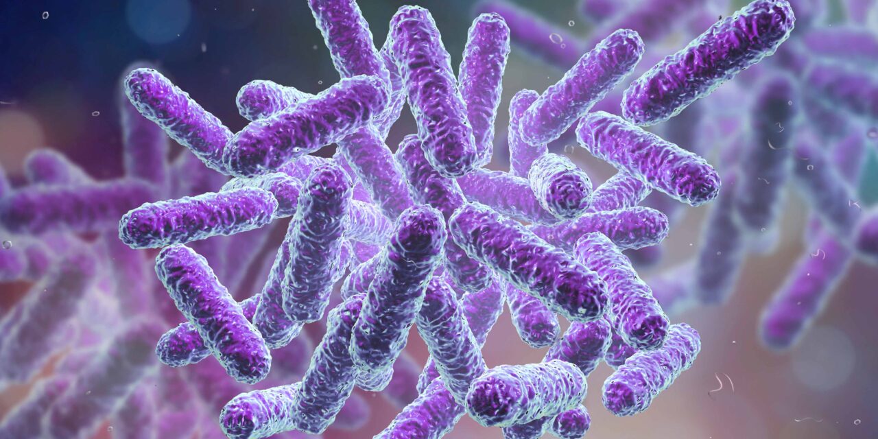 Cercetătorii au dezvoltat antibiotice sintetice care ar putea salva milioane de vieți
