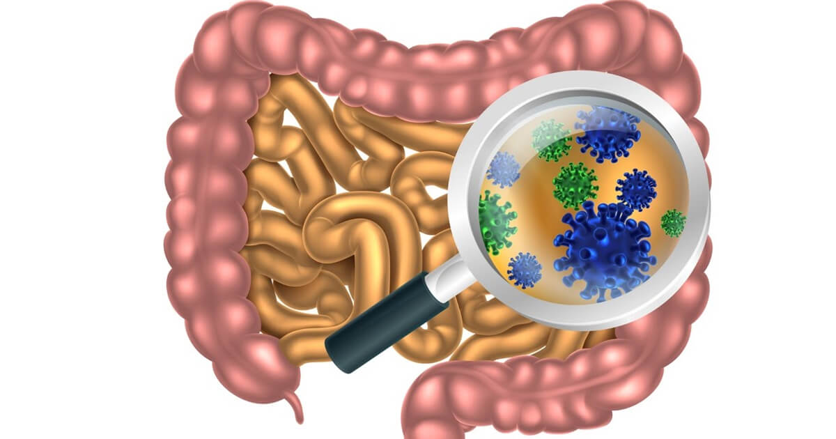 O singură cură de antibiotice afectează microbiota intestinală a sugarilor