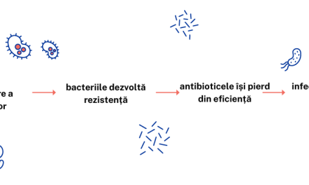 Cinci motive pentru care abordarea rezistenței la antimicrobiene este extrem de importantă